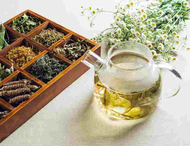 A Deep Dive into the World of Herbal Teas – Emerald Blend Tea