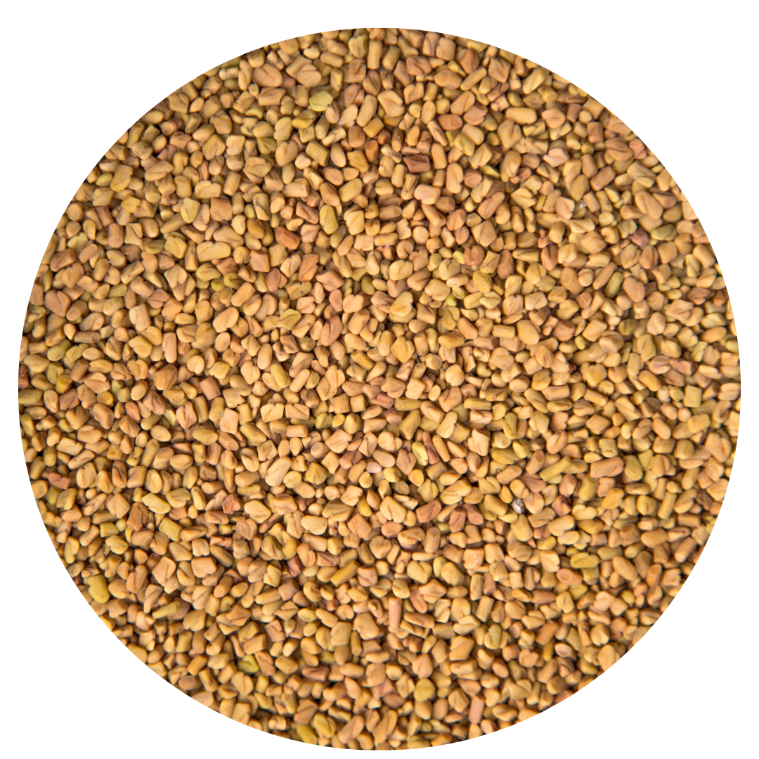 fenugreek seeds, organic loose leaf tea ingredient