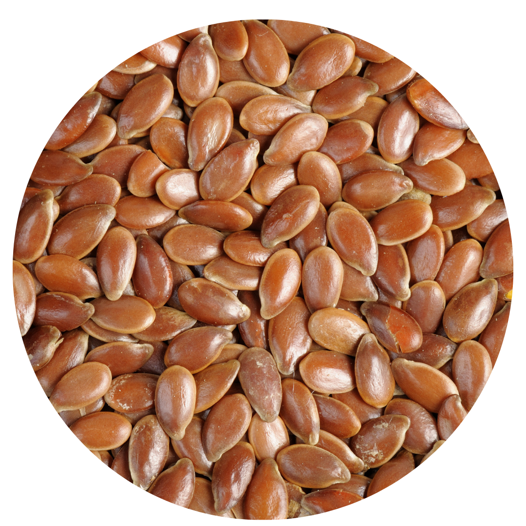 flaxseed , one of the ingredient for a tea blend, loose leaf tea australia