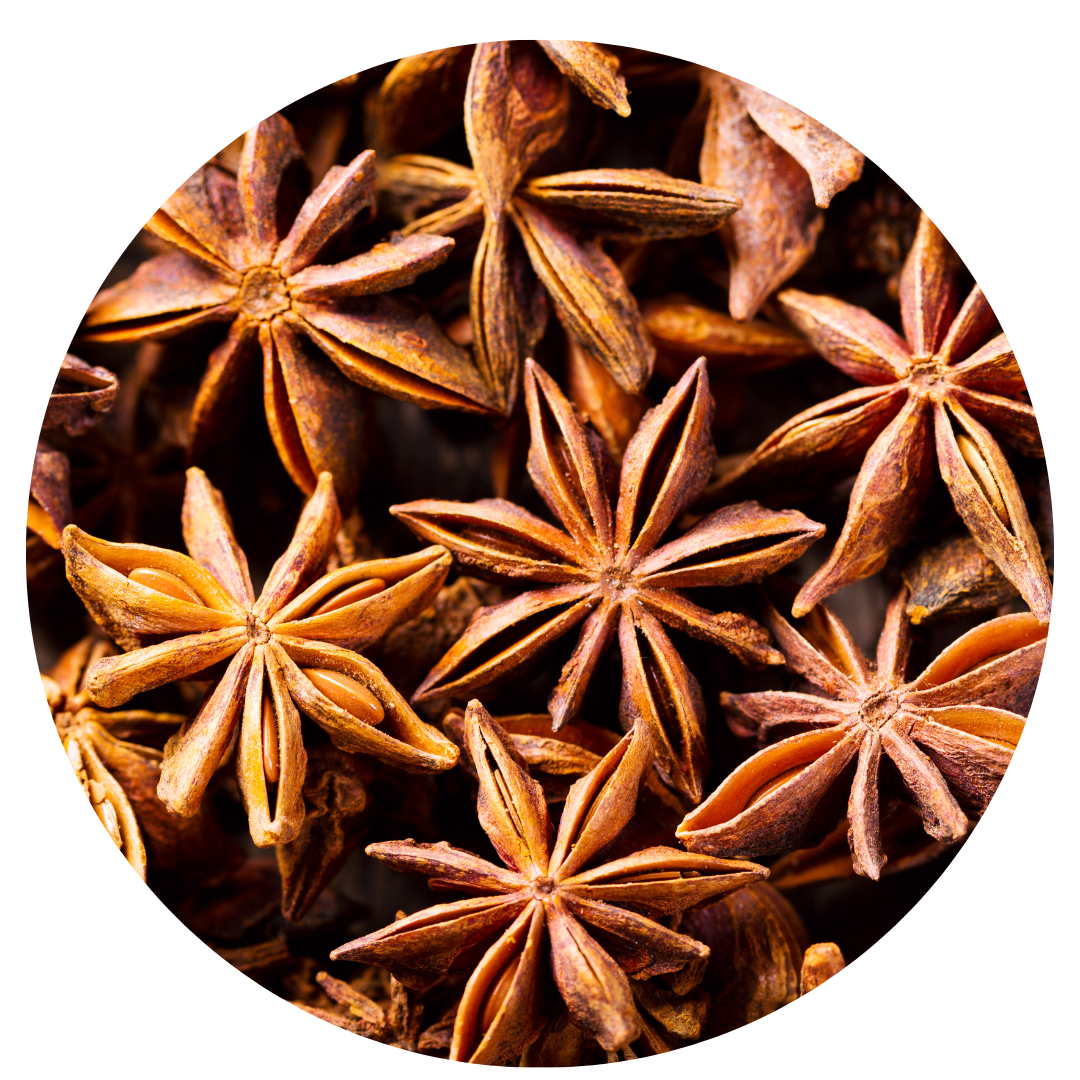 star anise, one of the ingredients , loose leaf tea australia